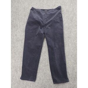 Eileen Fisher Pants Womens Large Blue Velour Velvet Side Zip Organic Cotton